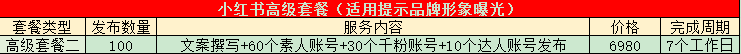 小红书高级套餐二